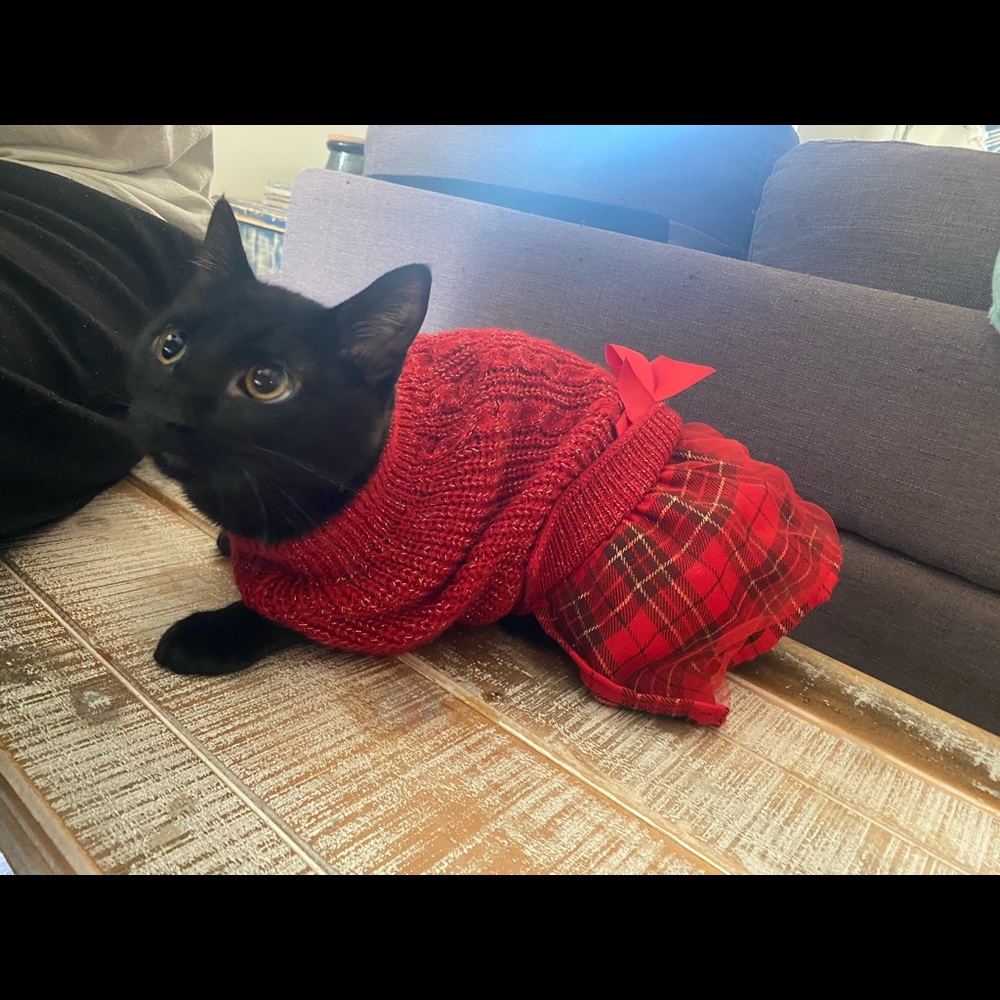 My baby Naomi